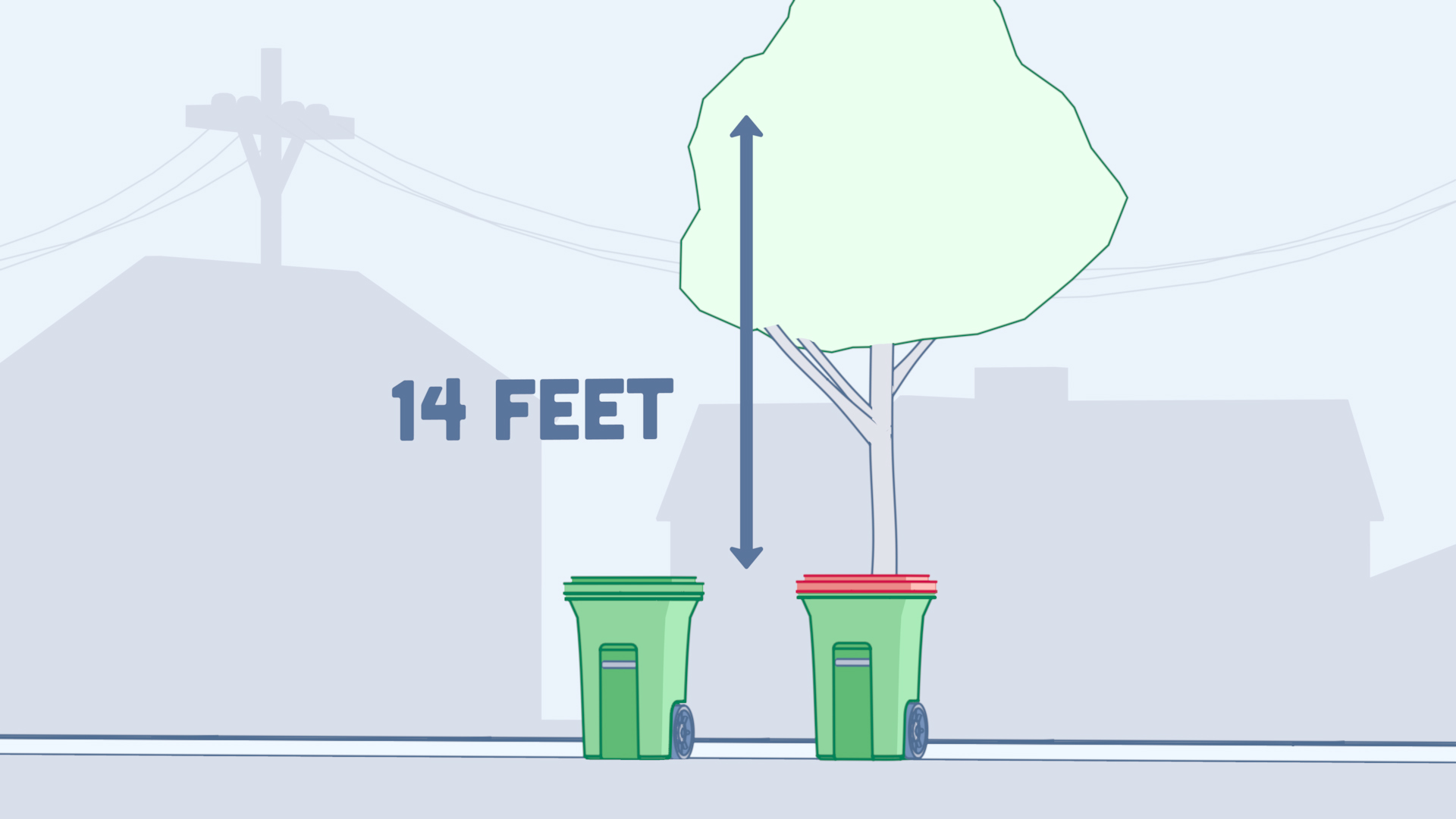 14 feet under tree