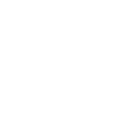survey icon