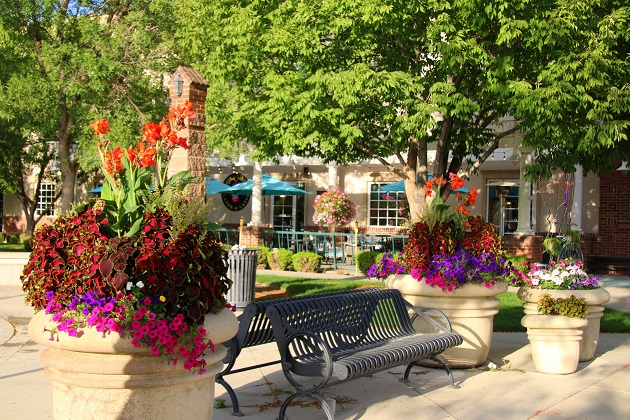 park bench among greenery and flowers in downtown Meridian