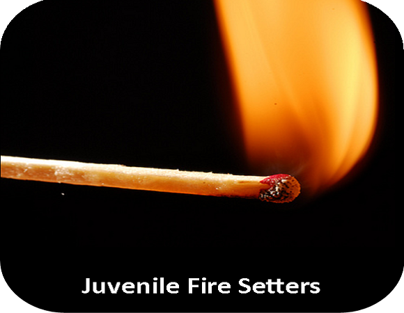 Juvenile Fire Setters