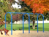 Champion Park Swings