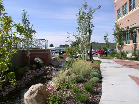 stream with rocks and plants at City Hall Plaza