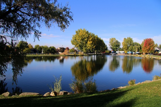 Pond at Fuller Park