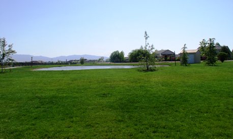 grassy field and pond at Gordon Harris Park