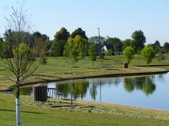 pond at Julius M. Kleiner Memorial Park