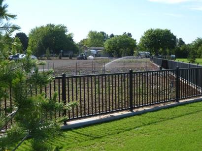 community garden at Julius M. Kleiner Memorial Park