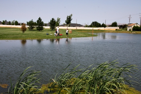 fishing pond at Settler's Park