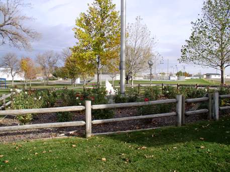 rose garden at Storey Park