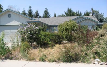 Photo of a house with tall weeds in yard.